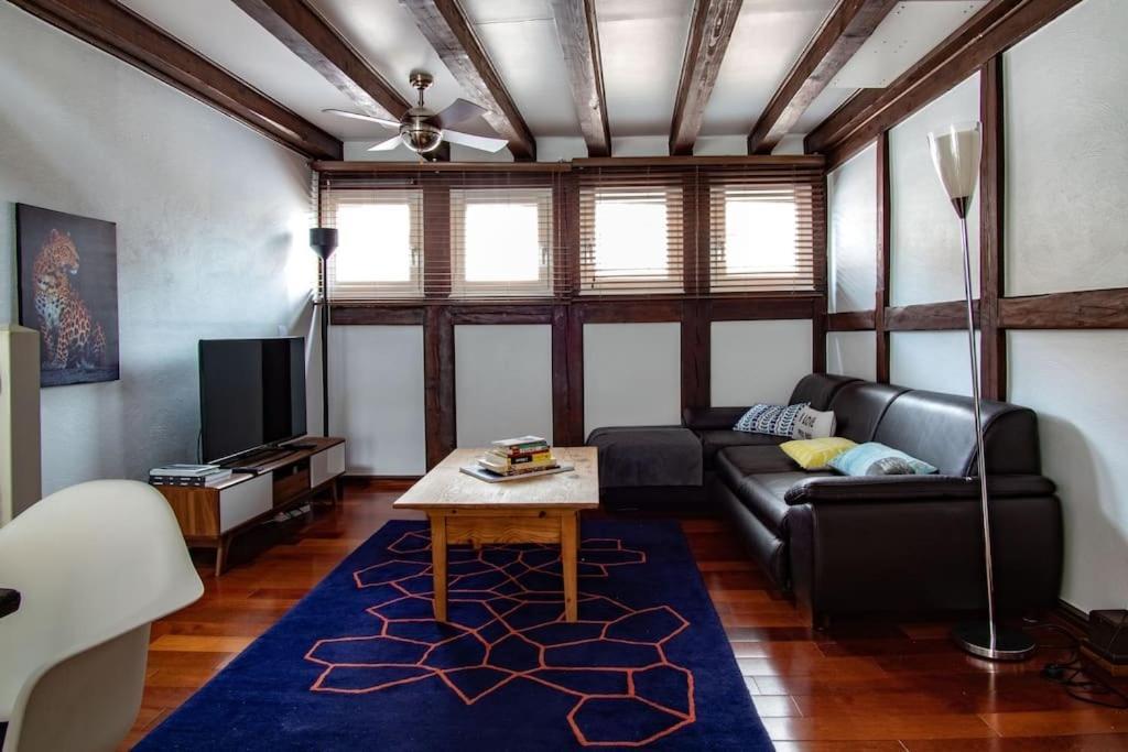 L'Or - Typical Alsacian Apartment In Страсбург Екстериор снимка